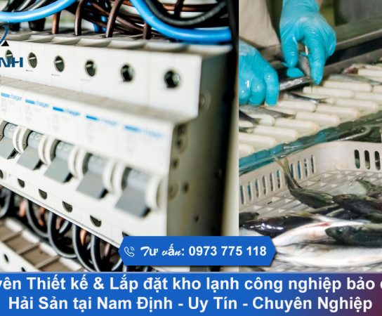 Chuyên Thiết kế & Lắp đặt kho lạnh bảo quản hải sản tại Nam Định