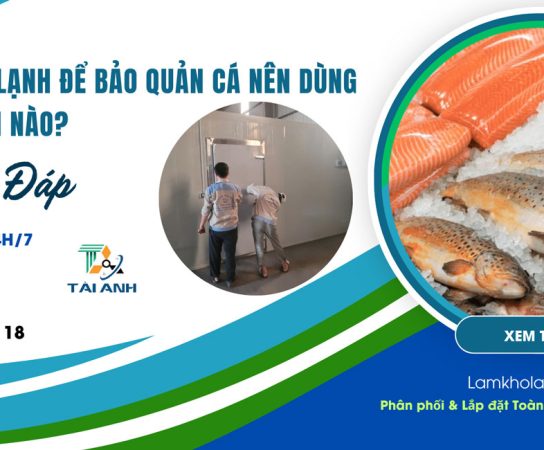 Lắp đặt Kho lạnh để bảo quản cá nên dùng máy nén loại nào?