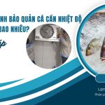 Lắp đặt kho lạnh bảo quản cá cần nhiệt độ tiêu chuẩn là bao nhiêu