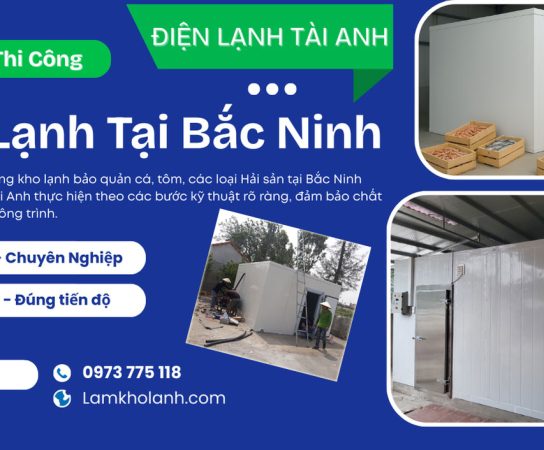 Lắp đặt kho lạnh bảo quản cá tại Bắc Ninh