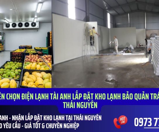 Lắp đặt kho lạnh bảo quản trái cây tại Thái Nguyên